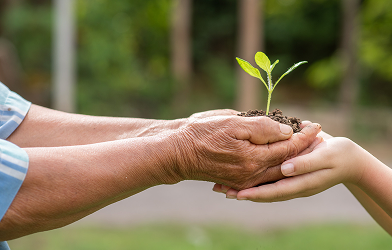 Environment, Social and Governance
